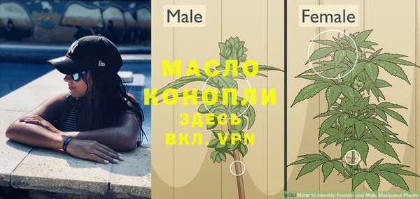 спиды Осинники